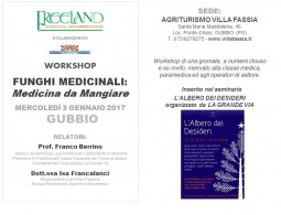 WORKSHOP- FUNGHI MEDICINALI: Medicina da Mangiare