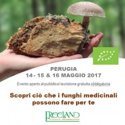 Perugia - Scopri ciò che i funghi medicinali possono fare per te