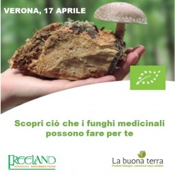 Verona - Scopri ciò che i funghi medicinali possono fare per te