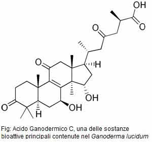 acido-ganodermico-c