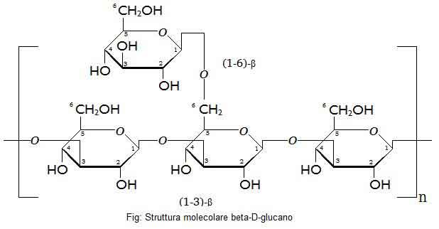 struttura-molecolare-beta-d-glucano