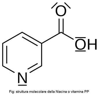 struttura-molecolare-niacina
